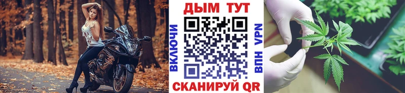 Что такое Екатеринбург Каннабис  Псилоцибиновые грибы  ГАШИШ  СК  АМФ 