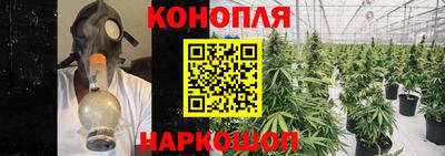 молекула духа Бузулук