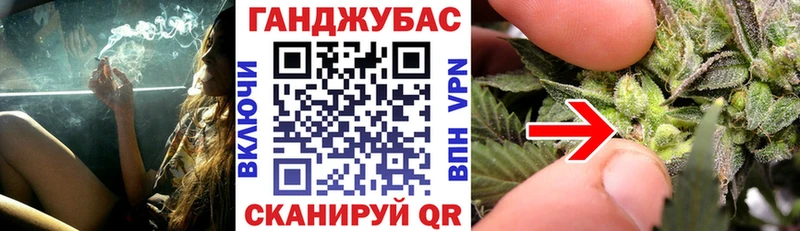 купить   Екатеринбург  Бошки Шишки сатива 